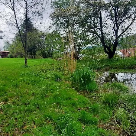 Domek Zielony Dzieciol Długopole-Zdrój Exteriér fotografie