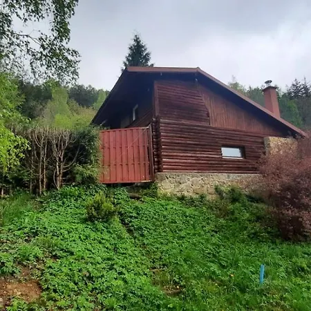 Domek Zielony Dzieciol Długopole-Zdrój Exteriér fotografie