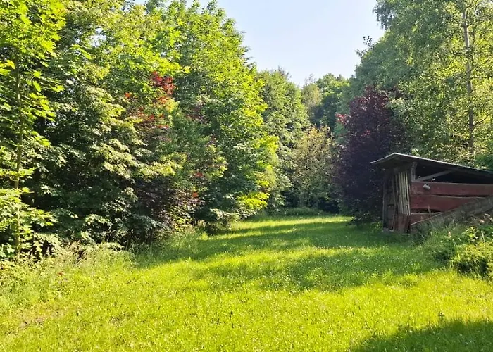 Domek Zielony Dzieciol
