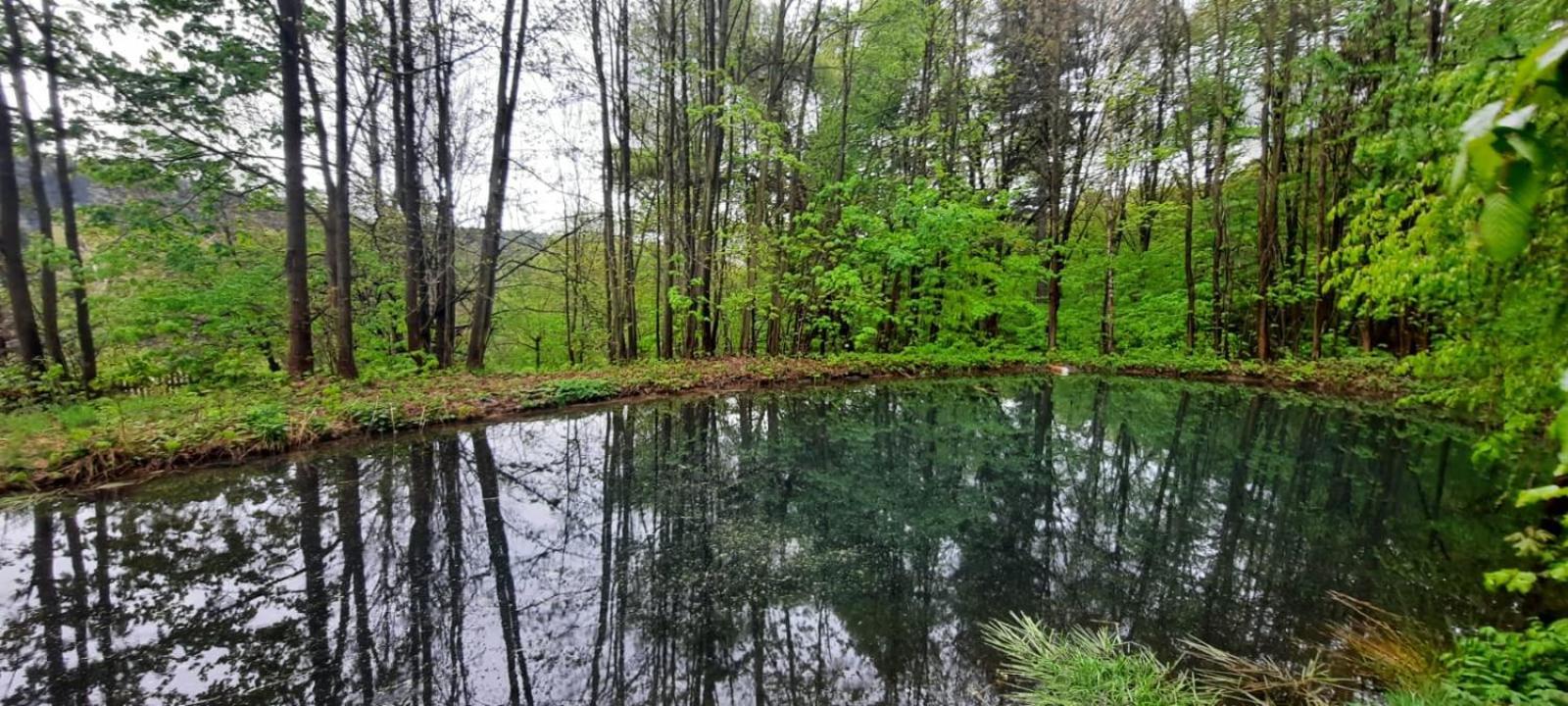 Dzieciol Chalet